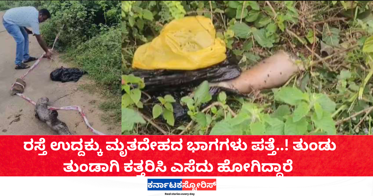 Body parts found scattered along the road