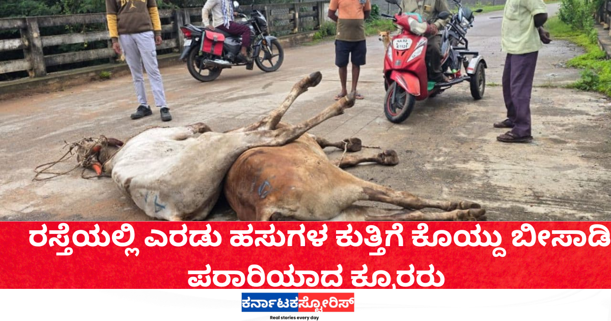 Cruels slit two cows’ throats on the road and fled.
