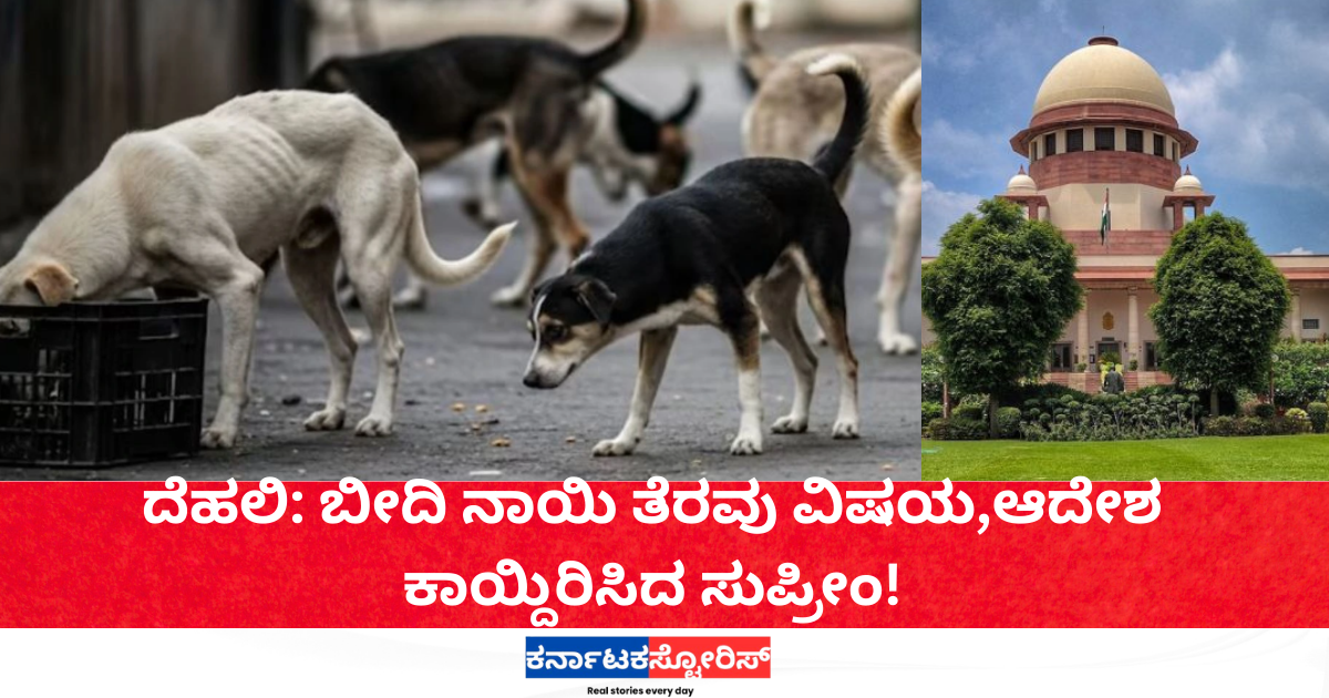 Delhi: Street dog removal issue, Supreme Court reserves order