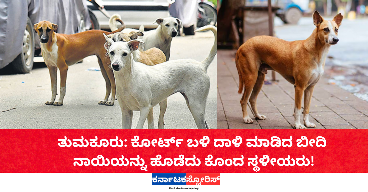ತುಮಕೂರು: ಕೋರ್ಟ್ ಬಳಿ ದಾಳಿ ಮಾಡಿದ ಬೀದಿ ನಾಯಿಯನ್ನು ಹೊಡೆದು ಕೊಂದ ಸ್ಥಳೀಯರು!